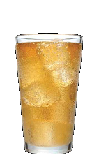 The 3-O Ginger Snap drink recipe is made from Three Olives whipped cream vodka and ginger ale, and served over ice in a highball glass.