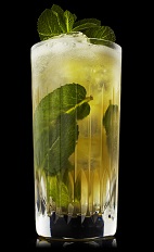 The Apes and Apples drink recipe blends the flavors of Monkey Shoulder scotch, mint and apple juice, and served over ice in a highball glass.