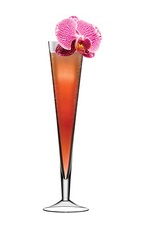 Give up your Bohemian ways and settle down to a life of style and luxury. The Bohemian Luxury cocktail is a red colored bubbly drink made from Chopin wheat vodka, Chambord raspberry liqueur, pineapple juice and chilled Rose champagne, and served in a chilled champagne flute.