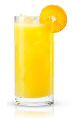 The classic Screwdriver is a popular orange colored drink made from New Amsterdam vodka and fresh orange juice, and served over ice in a highball glass.