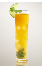 The Criollo cocktail recipe is a spicy little thing made from Flor de Cana rum, key lime juice, mango, agave nectar, cilantro and cayenne pepper, and served over ice in a Collins glass.