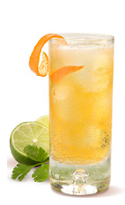 The Gran Gala Tequila Cooler blends Italian and Mexican flavors into a relaxing and refreshing drink recipe. Made from Gran Gala Triple Orange liqueur, Corazon silver tequila, lime juice, cilantro and club soda, and served over ice in a highball glass.
