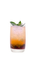 The Grand Julep is a fruity variation of the classic Mint Julep drink, a favorite at the Kentucky Derby. A colorful drink made from Grand Marnier, bitters, mint and club soda, and served over ice in a highball glass.