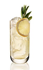 The Green Tea Cooler is a refreshing drink made from Beefeater gin, lemon juice and ginger & honey green tea, and served over ice in a highball glass.