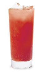 The Hawaiian Punch is a red drink made from peach schnapps, amaretto liqueur, grenadine, pineapple juice and cranberry juice, and served over ice in a highball glass.