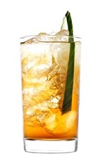 The Honey Bear drink recipe is made from 42 Below Honey vodka, ginger ale, lime and mint, and served over ice in a highball glass.