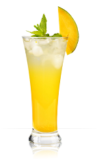 The Mango Mamma is a fruity orange colored drink recipe made from 901 Silver tequila, agave nectar, lime juice and mango juice, and served over ice in a highball glass garnished with mint and a mango slice.