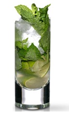 The Martin Miller's Mojito is a gin variant of the classic Mojito drink. A green colored drink made from Martin Miller's gin, lime, simple syrup, mint and club soda, and served over ice in a highball glass.