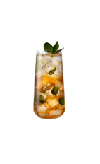 The Mighty Mint Thief is an orange colored drink made from Big House Tupelo honey bourbon, mint, sugar cubes and club soda, and served over ice in a highball glass.