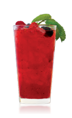 The Mixed Berry Mojito is an excitingly fruity variation of the classic Mojito drink recipe. A red colored cocktail made from Don Q Mojito mint rum, blueberries, raspberries, strawberries, blackberries, mint and club soda, and served over ice in a highball glass.