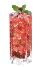 The PAMA Mojito is a fruity red colored variation of the classic Mojito drink. Made from PAMA pomegranate liqueur, white rum, lime juice, club soda, simple syrup and mint, and served over ice in a highball glass.
