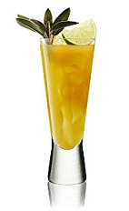 The Pineapple Gin is a tropical orange drink made from Beefeater gin, pineapple juice, mint and lime, and served over ice in a collins glass.