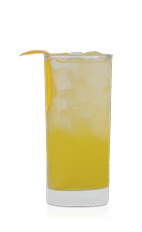 The Pious Punch drink recipe is made from Don Q Coco rum, Benedictine, agave nectar, lemon juice, orange juice and ginger ale, and served over ice in a highball glass.
