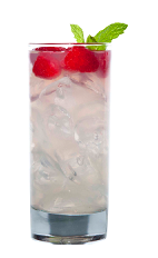 The Pisco Tamarindo drink recipe blends the flavors of Chilean pisco with tamarind juice, salt, lime, mint and raspberries, served over ice in a highball glass.