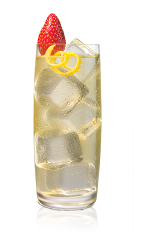 The Strasberi Vanilla Collins drink is made from Stoli Strasberi strawberry vodka, vanilla liqueur, lemon juice, agave nectar and club soda, and served over ice in a highball glass.