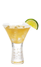 Tom Martin's Skinny Margarita is a party drink recipe made from Gran Gala Triple Orange liqueur, Corazon silver tequila, lime juice, Crystal Light and water, and served from a large pitcher or punch bowl. Recipe serves about 8.