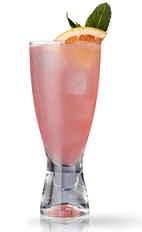 The Westbourne Punch is a pink colored summer cocktail made from gin, St-Germain elderflower liqueur, pink grapefruit juice, lemon juice and club soda, and served over ice in a highball glass.