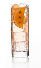 The Winter Gin and Tonic is a spicier version of the classic G&T cocktail, guaranteed to warm you in the depths of a chilly winter. Made from Caorunn gin, nutmeg, cinnamon, orange, apple, cloves and tonic water, and served over ice in a Collins or highball glass.