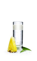 The Winter Pina Colada Shot is the perfect shot for the cold winter months to remind you that summer will be along soon enough. A clear colored shot of Malibu Winter Edition coconut rum, with a layer of cream floating on top, and served in a chilled shot glass.