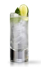 The Andalusian Gin and Tonic is a Spanish variation of the classic Gin and Tonic cocktail. Made from Martin Miller's gin, lime juice, basil and tonic water, and served over ice in a highball glass.