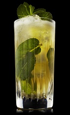 The Apes and Apples drink recipe blends the flavors of Monkey Shoulder scotch, mint and apple juice, and served over ice in a highball glass.
