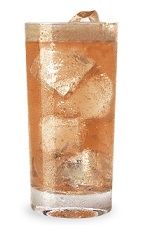 The Apple Spazz is an orange colored drink made from Razzmatazz raspberry schnapps, Pucker sour apple schnapps, sour mix and lemon-lime soda, and served over ice in a highball glass.