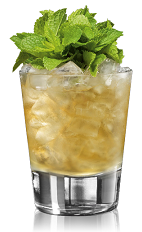 The Bacardi 8 Rum Julep is a variation of the classic Mint Julep drink, perfect for a Kentucky Derby party. An orange drink, made form Bacardi rum, mint, simple syrup and bitters, and served over ice in a rocks glass.