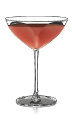 The Bacardi Cocktail is made from Bacardi rum, lime juice and grenadine, and served in a chilled cocktail glass.