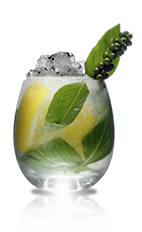 The Basilita cocktail recipe is made from Danzka Grapefruit vodka, lemon, basil, sugar and black pepper, and served over ice in a rocks glass.