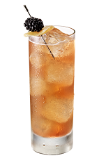 The Berry Spice drink is made from Chambord flavored vodka, honey, lemon juice, simple syrup, jalapeno pepper and ginger ale, and served over ice in a highball glass.