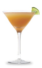 The Black and Orange Martini is an orange cocktail made from bourbon, amaretto, orange juice and bitters, and served in a chilled cocktail glass.