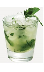 The Citrus Mojito is a fruity change to the classic Mojito cocktail recipe. Made from Burnett's citrus vodka, lime, mint, sugar and club soda, and served over ice in a rocks glass.