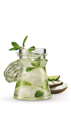 The Coconut Mojito is a tropical variation of the classic Mojito drink recipe. Made from Cruzan coconut rum, white rum, mint, lime, sugar and coconut water, and served over ice in a highball glass.
