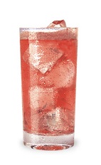 The Crantasia Fizz is a festive Thanksgiving drink red in color, made form cranberry schnapps and club soda, and served over ice in a highball glass.