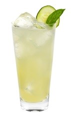 The Cucumber Basil Temptress is an exciting tall cocktail guaranteed to open your appetite. Made from Effen cucumber vodka, lime juice, simple syrup, basil and club soda, and served over ice in a highball glass.