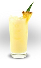 Cuervo Pineapple Cocktail Recipe With Picture,Red Ants With Wings In House