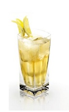 The Disaronno and Schweppes is an orange drink made from Disaronno, bitter lemon and lemon slices, and served over ice in a highball glass.