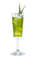 The Envy drink is a wonderful combination of flavors to create one of the best green colored drinks ever created. Made from Midori melon liqueur, Zubrowka bison grass vodka, green tea liqueur, pineapple juice, lemon juice, mint leaves and sugar, and served in any chilled stemmed glass.
