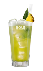 The Foamy June Bug is a green summer drink made from melon liqueur, coconut rum, pineapple juice, lime juice, club soda, Bols Banana Foam liqueur and fresh pineapple, and served over ice in a highball glass.