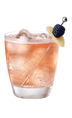 The French Ginger Ale drink is made from Chambord flavored vodka and ginger ale, and served in an old-fashioned glass full of ice.