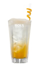 The Funky Apricot Fizz is an exciting orange Spring drink made from apricot brandy, lemon juice, simple syrup, club soda and Bols Amaretto Foam liqueur, and served over ice in a highball glass.