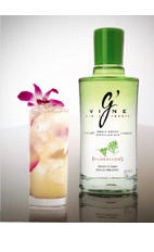 The G'Vine Orchid drink recipe is made from G'Vine Floraison gin, Esprit de June liqueur, pink grapefruit juice and chilled champagne, and served over ice in a highball glass decorated with an orchid flower.
