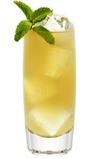The Ginger Man is an orange colored drink made from Effen vodka, ginger syrup, lime juice, bitters, mint and ginger beer, and served over ice in a highball glass.