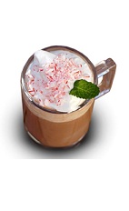 The Irish Peppermint drink is made from Bailey's Irish cream, hot chocolate, whipped cream and candy cane, and served in a coffee mug.