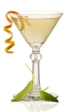 The Japatini is a relaxing cocktail made from Beefeater gin, Sencha tea syrup, sage leaves and bitters, and served in a chilled cocktail glass.