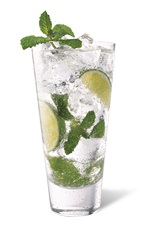 The Jimmy Mojito is a Mexican version of the classic Mojito drink. A clear cocktail made from silver tequila, agave nectar, lime juice, mint and club soda, and served over ice in a highball glass.