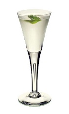 The Left Bank Martini is a clear colored cocktail made from gin, St-Germain elderflower liqueur and white wine, and served in a chilled cocktail glass.