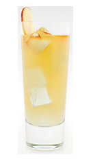 The Bullfisher drink recipe is made from Malibu coconut rum, apple juice and ginger ale, and served over ice in a highball glass garnished with apple slices.