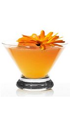 The Marigold Ofrenda is an orange colored cocktail made form Espolon reposado tequila, lime juice, triple sec, agave nectar, cantaloupe and chili powder, and served in a chilled cocktail glass.