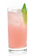 The Pampluna is a pink colored drink made from Joseph Cartron pink grapefruit liqueur, raspberry liqueur, gin and lemon-lime soda, and served over ice in a highball glass.